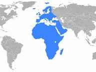 What do we know about the new ‘worst ever’ Covid variant? | Coronavirus | The&nbsp;Guardian